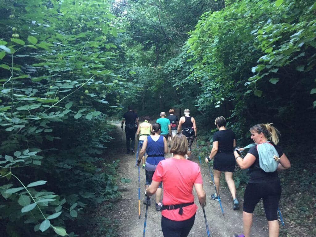 Nordic walking technika