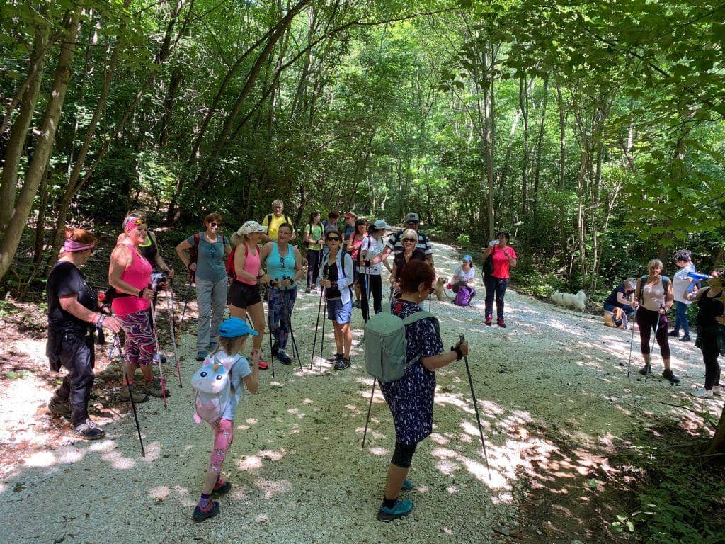 <img src="nordic walkinggal fogyni.jpg" alt="Nordic walkinggal fogyni">