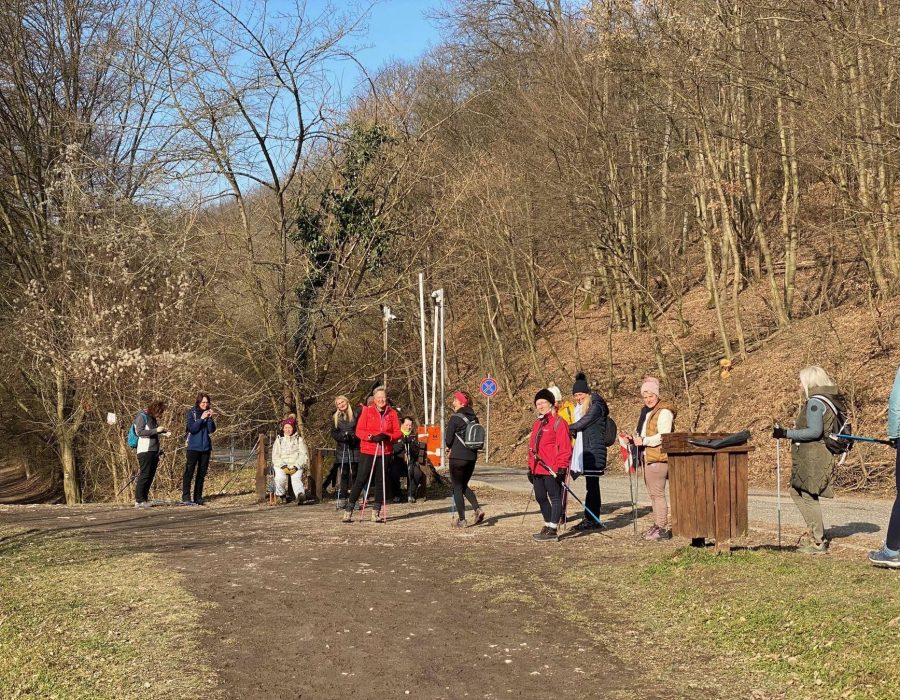 Kétnapos nordic & jóga tábor Visegrádon – Visegrád – nordic walking túra