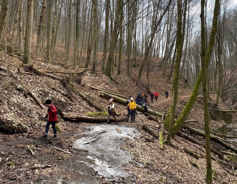 Kétnapos nordic & jóga tábor Visegrádon – Visegrád – nordic walking túra