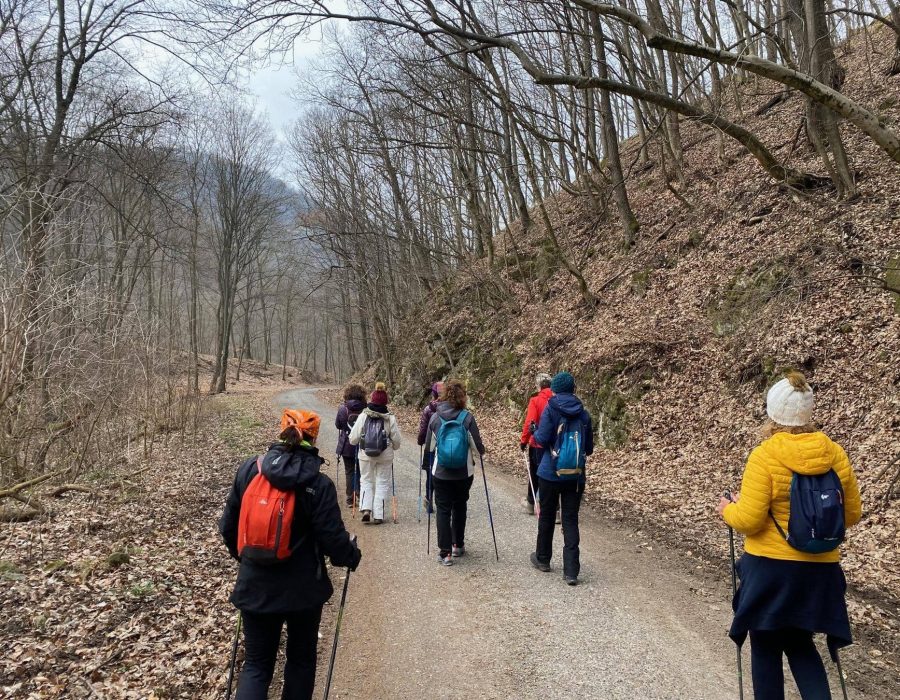 Kétnapos nordic & jóga tábor Visegrádon – Visegrád – nordic walking túra