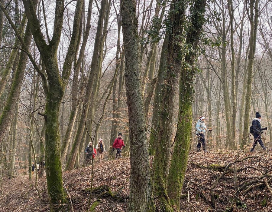 Kétnapos nordic & jóga tábor Visegrádon – Visegrád – nordic walking túra