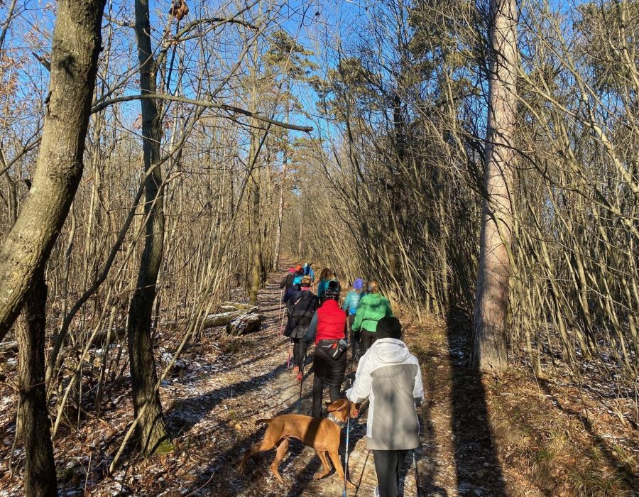 Kétnapos nordic & jóga tábor Visegrádon – Visegrád – nordic walking túra