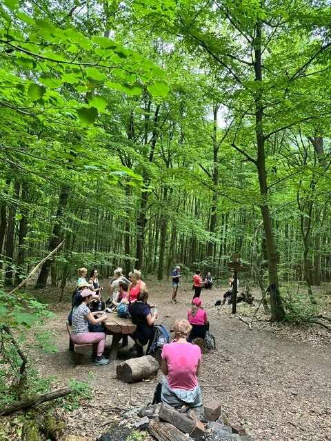 A Pilisben jártunk – 2026. május – Pilis – nordic walking túra
