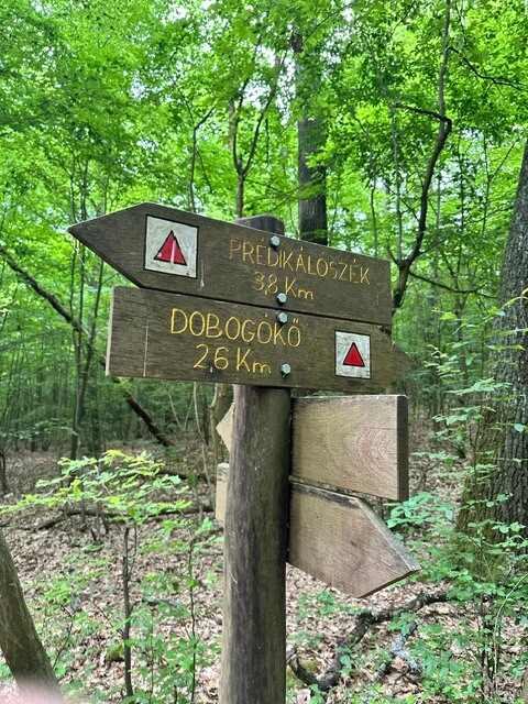 A Pilisben jártunk – 2026. május – Pilis – nordic walking túra