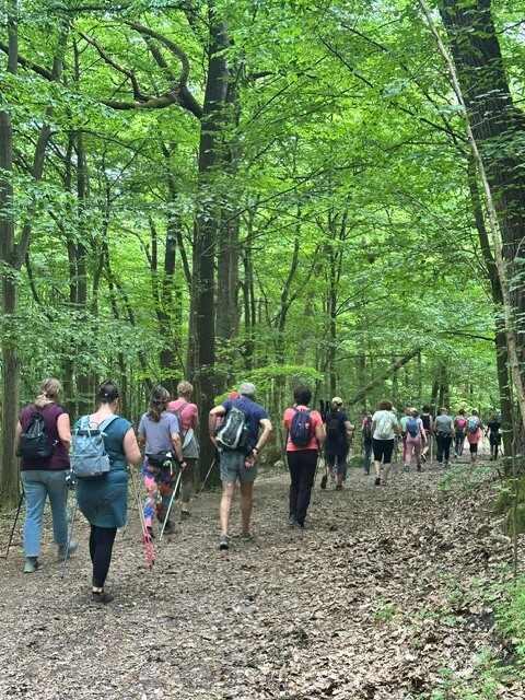 A Pilisben jártunk – 2026. május – Pilis – nordic walking túra