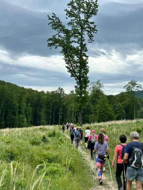 A Pilisben jártunk – 2026. május – Pilis – nordic walking túra