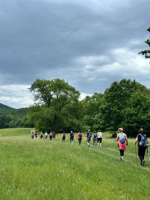 A Pilisben jártunk – 2026. május – Pilis – nordic walking túra