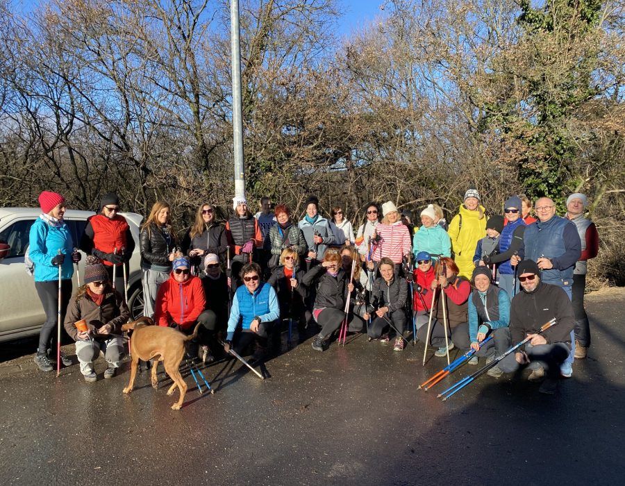 Csapatépítő nordic walking program – Gyalogolj.hu