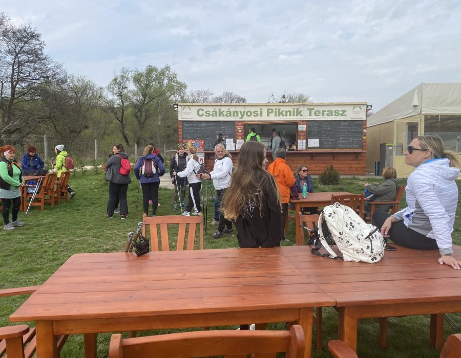 Csapatépítő nordic walking program – Gyalogolj.hu