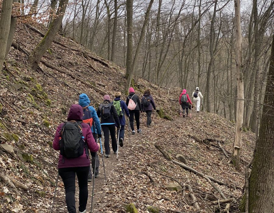 Csapatépítő nordic walking program – Gyalogolj.hu