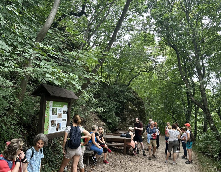 Csapatépítő nordic walking program – Gyalogolj.hu