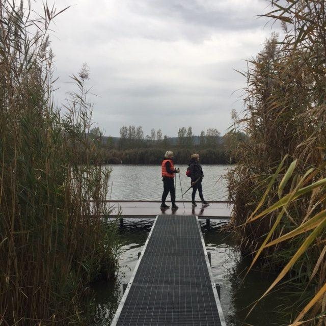 Etyeki bortúra – Etyek – nordic walking túra