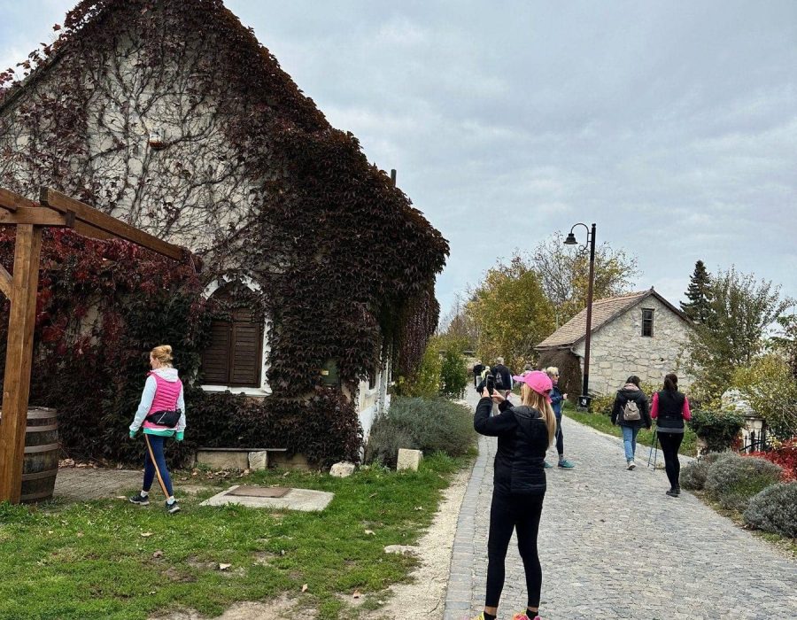 Etyeki gasztrotúra 2024 ősz – Etyek – nordic walking túra