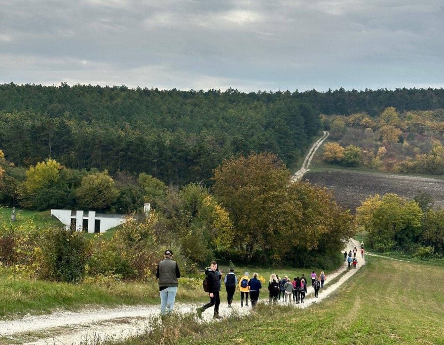 Etyeki gasztrotúra 2024 ősz – Etyek – nordic walking túra