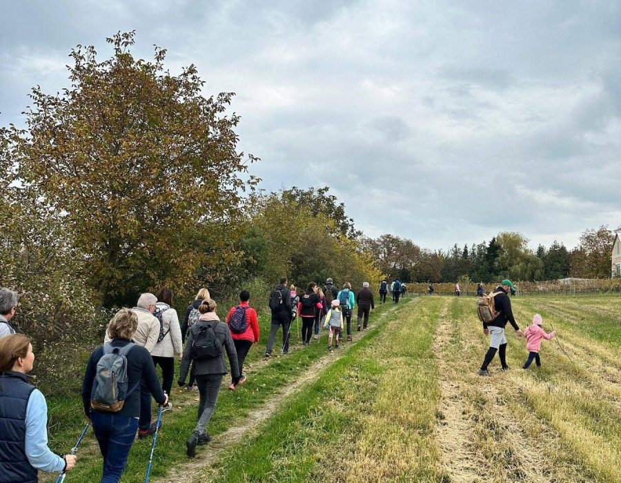 Etyeki gasztrotúra 2024 ősz – Etyek – nordic walking túra