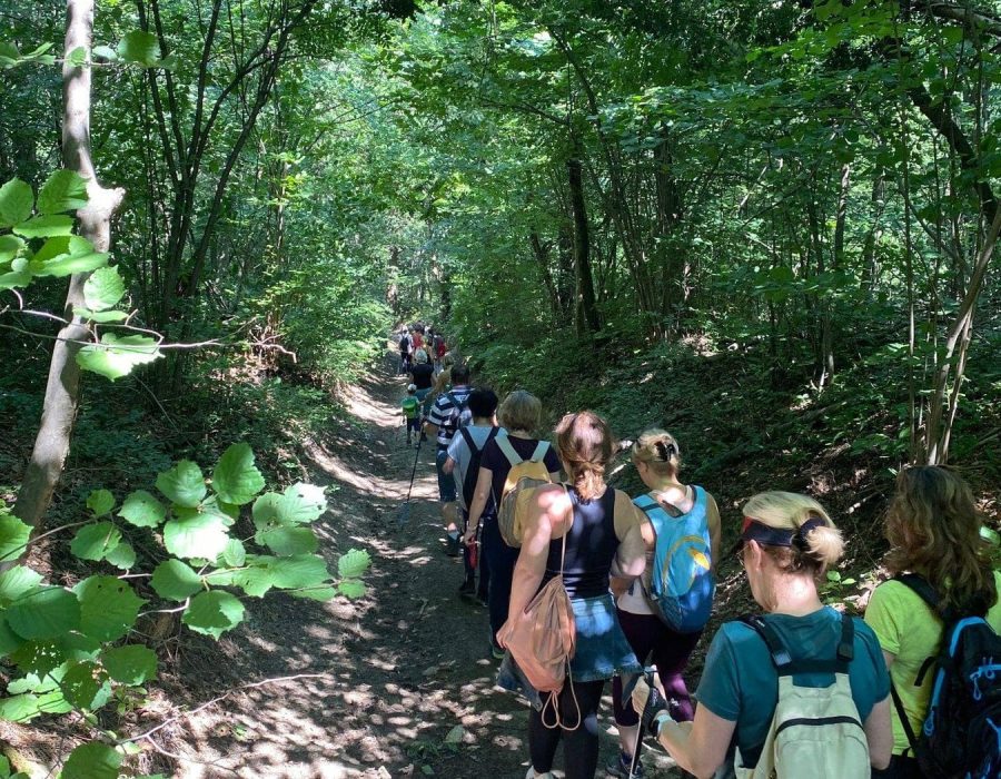 Gasztrotúra 2022 – Biatorbágy – nordic walking túra