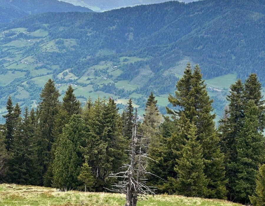 Kirándulás Ausztriában 2025 – Ausztria – nordic walking túra