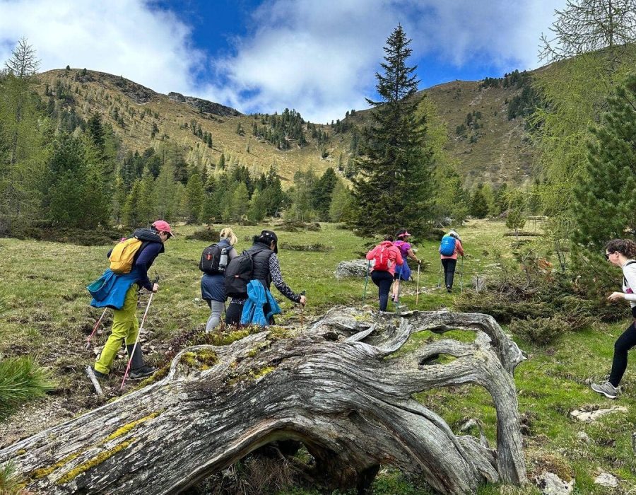 Kirándulás Ausztriában 2025 – Ausztria – nordic walking túra