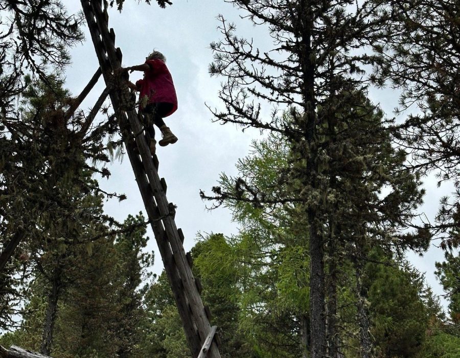 Kirándulás Ausztriában 2025 – Ausztria – nordic walking túra