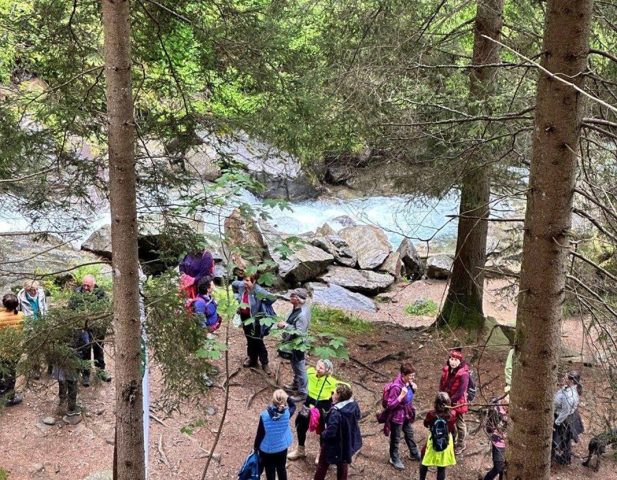 Kirándulás Ausztriában 2025 – Ausztria – nordic walking túra