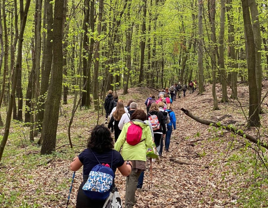 Medvehagyma túra 2022 – Csákányospuszta, Gerecse – nordic walking túra