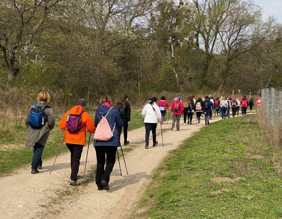 Medvehagyma túra 2022 – Csákányospuszta, Gerecse – nordic walking túra