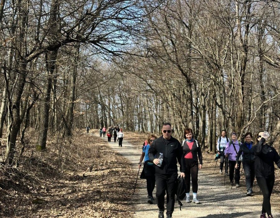 Nőnapi kirándulás a Pilisbe – Prédikálószék, Pilis – nordic walking túra