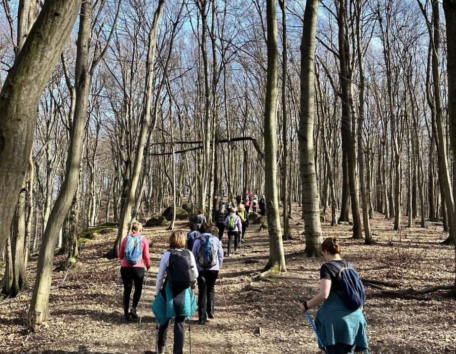 Nőnapi kirándulás a Pilisbe – Prédikálószék, Pilis – nordic walking túra