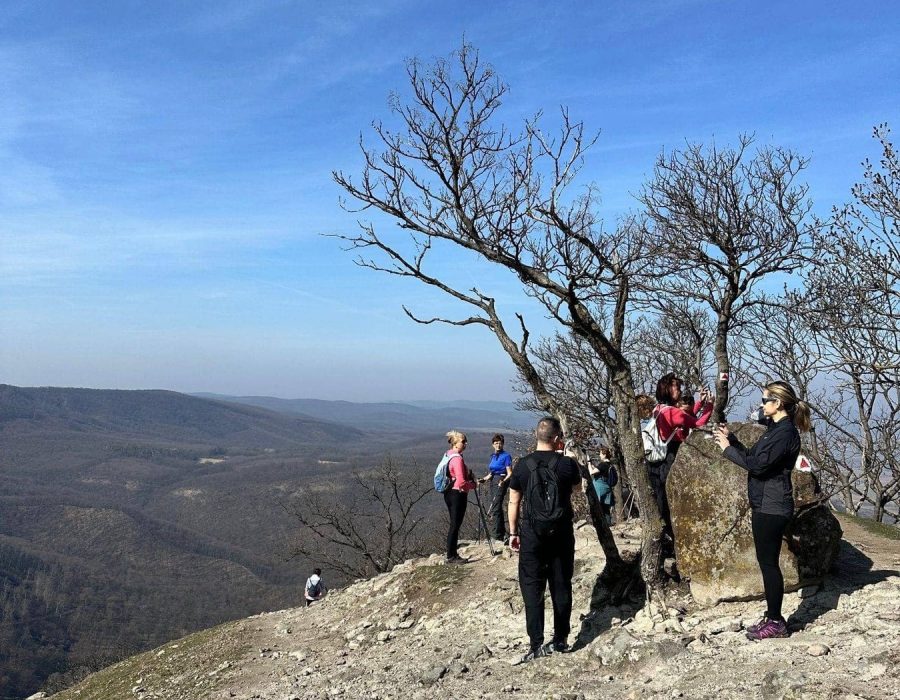 Nőnapi kirándulás a Pilisbe – Prédikálószék, Pilis – nordic walking túra