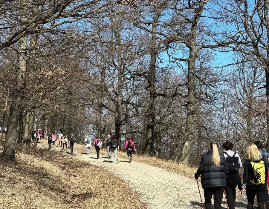 Nőnapi kirándulás a Pilisbe – Prédikálószék, Pilis – nordic walking túra