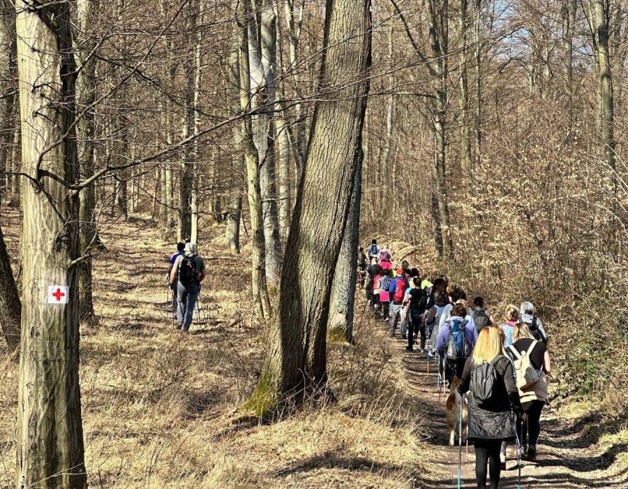 Nőnapi kirándulás a Pilisbe – Prédikálószék, Pilis – nordic walking túra