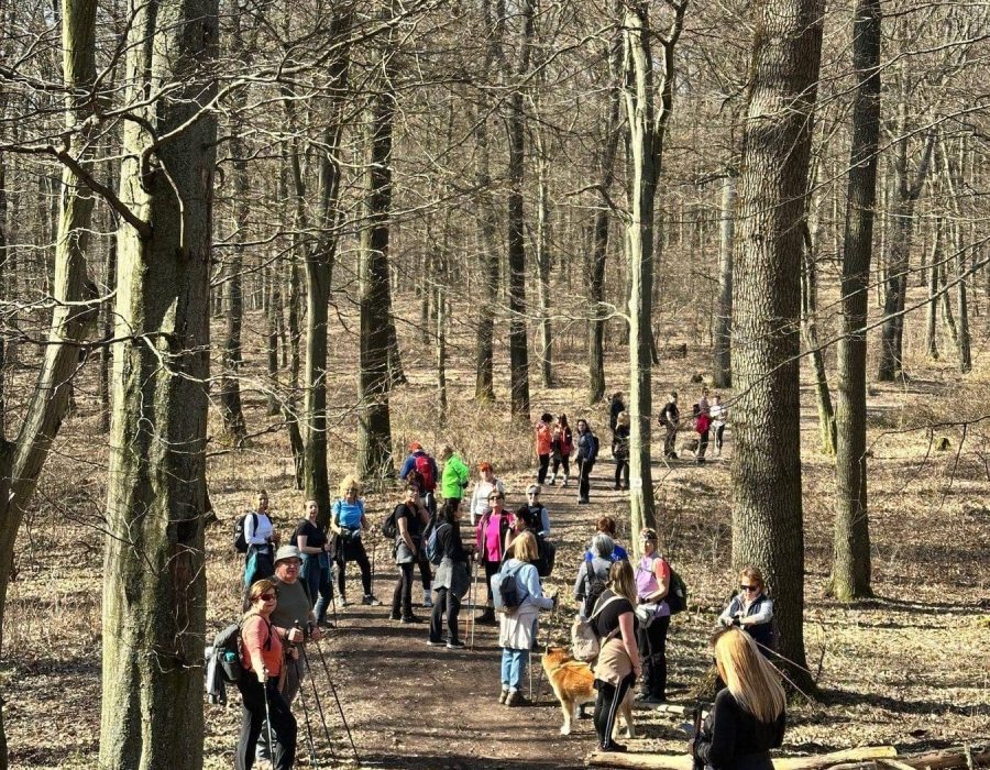 Nőnapi kirándulás a Pilisbe – Prédikálószék, Pilis – nordic walking túra