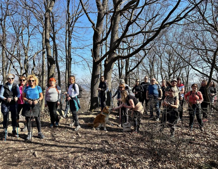 Nőnapi kirándulás a Pilisbe – Prédikálószék, Pilis – nordic walking túra