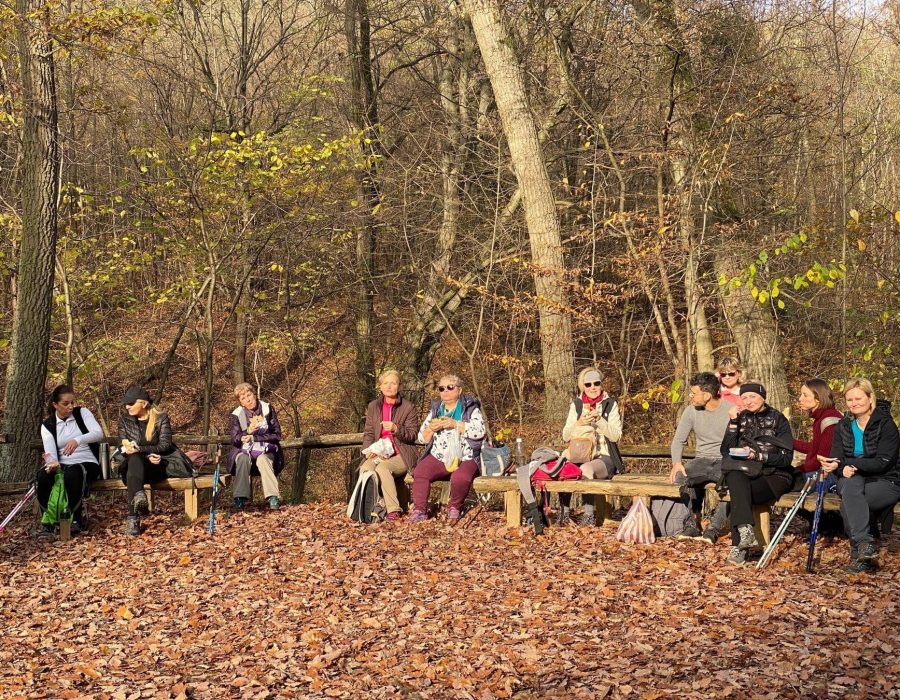 Pilisi túra 2022 november – Pilis – nordic walking túra
