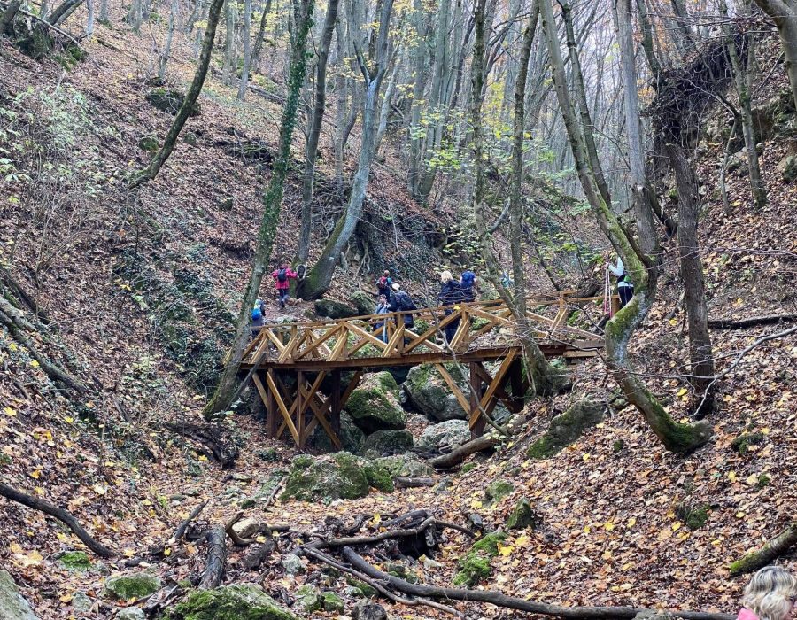Pilisi túra 2022 november – Pilis – nordic walking túra