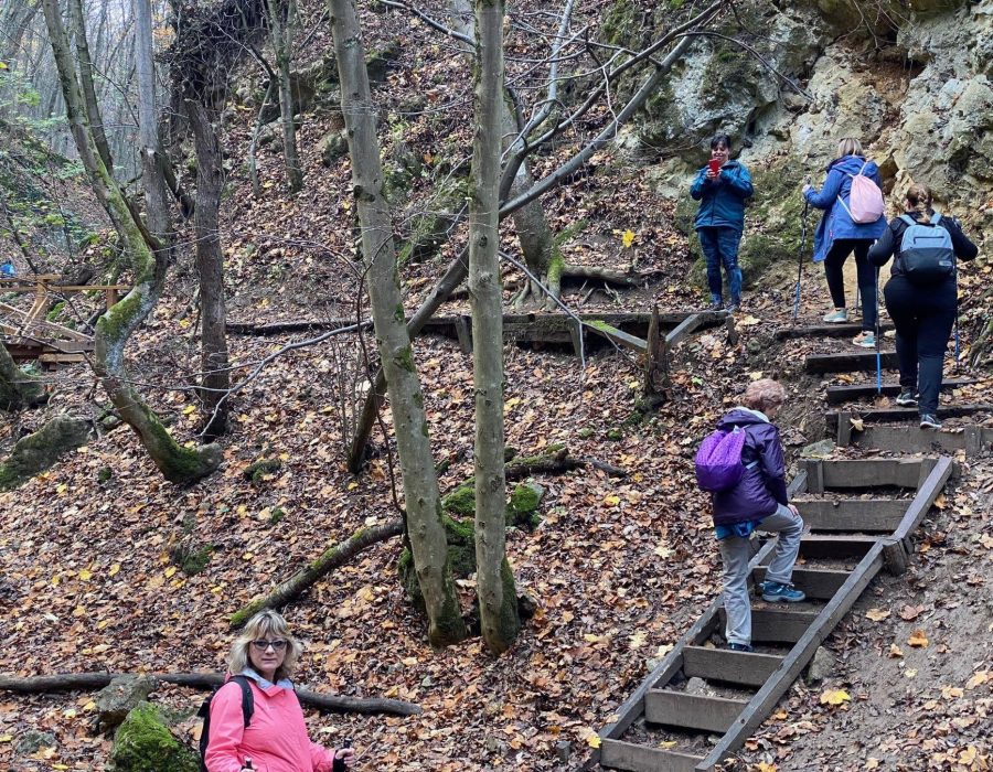 Pilisi túra 2022 november – Pilis – nordic walking túra