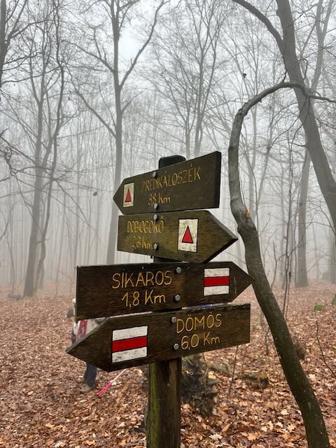 Pilisi túra 2025 november – Pilisszentlászló, Pilis – nordic walking túra