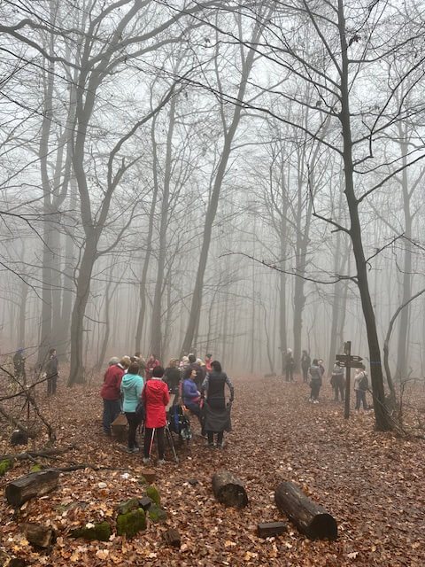 Pilisi túra 2025 november – Pilisszentlászló, Pilis – nordic walking túra