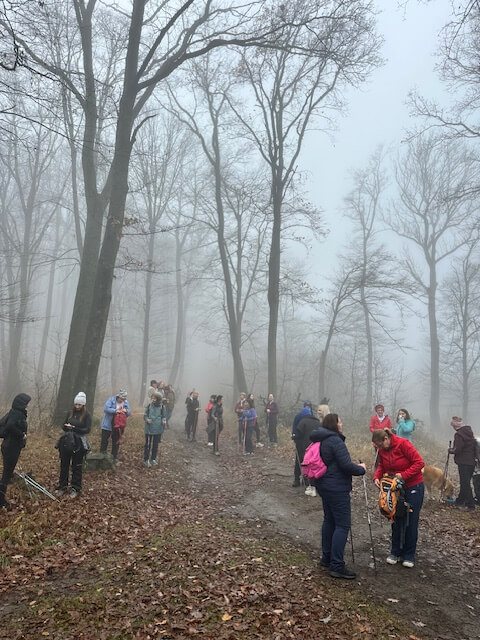 Pilisi túra 2025 november – Pilisszentlászló, Pilis – nordic walking túra