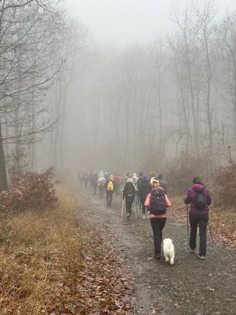 Pilisi túra 2025 november – Pilisszentlászló, Pilis – nordic walking túra