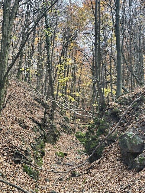 Pilisi túra 2025 november – Pilisszentlászló, Pilis – nordic walking túra