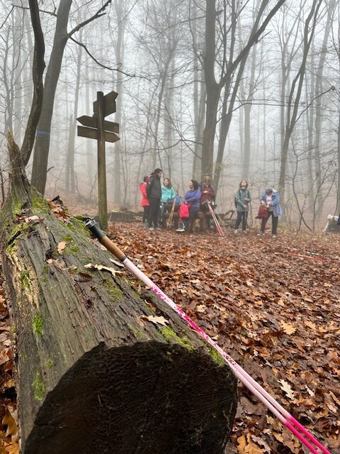 Pilisi túra 2025 november – Pilisszentlászló, Pilis – nordic walking túra