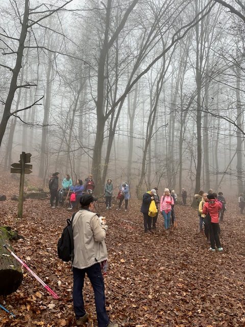 Pilisi túra 2025 november – Pilisszentlászló, Pilis – nordic walking túra
