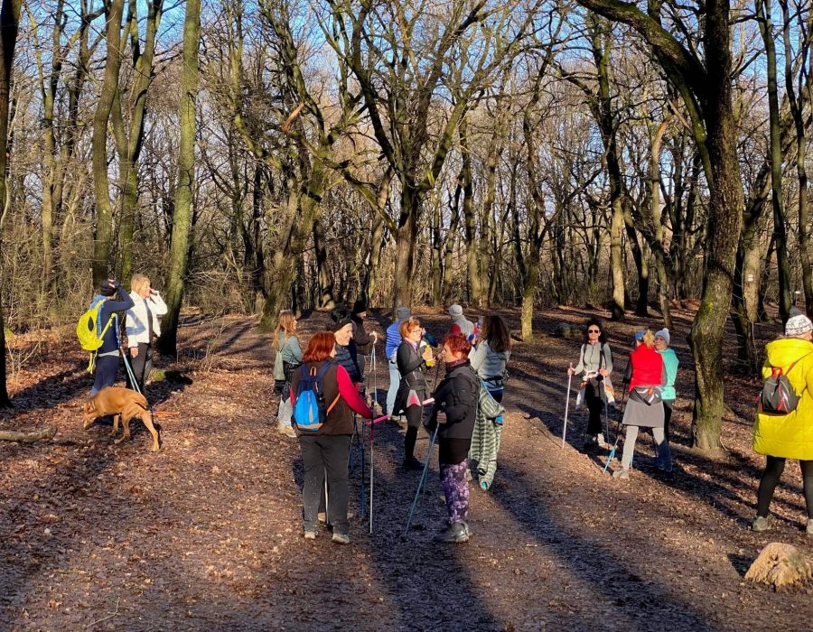 Szilveszteri nordic walking – nordic walking túra
