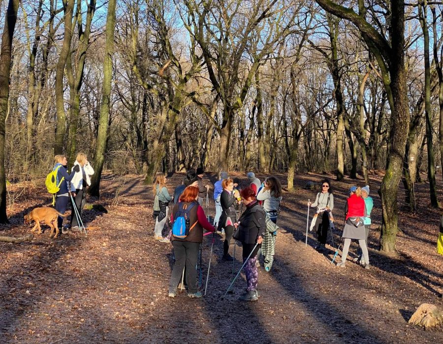 Szilveszteri nordic walking – nordic walking túra