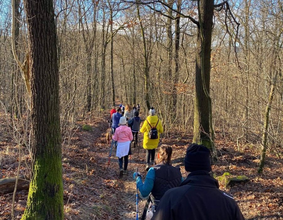 Szilveszteri nordic walking – nordic walking túra