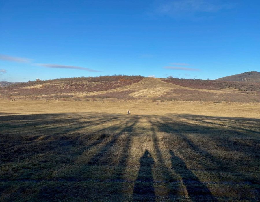 Szilveszteri nordic walking – nordic walking túra