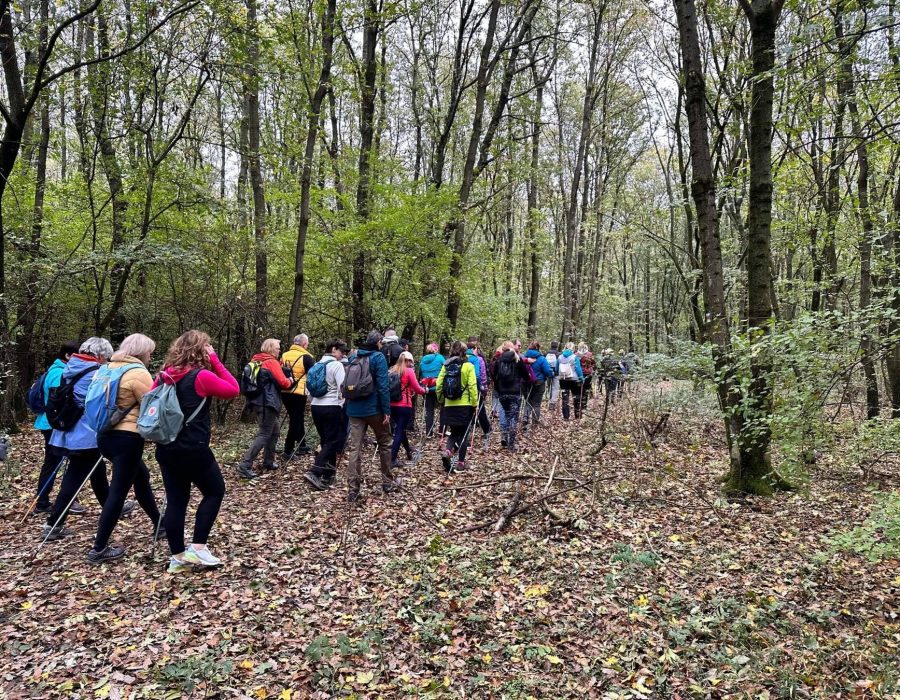 Turul túra 2023 – Tatabánya, Gerecse – nordic walking túra