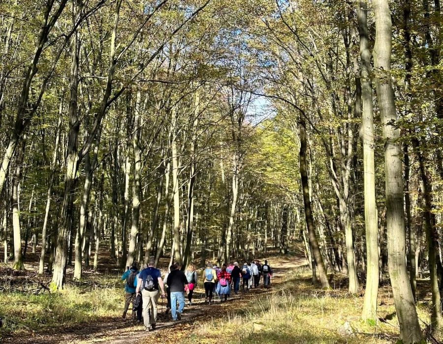 Turul túra 2023 – Tatabánya, Gerecse – nordic walking túra